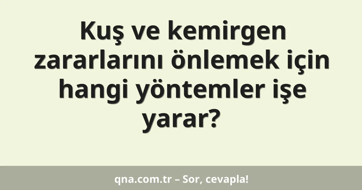 Kuş ve kemirgen zararlarını önlemek için hangi yöntemler işe yarar?