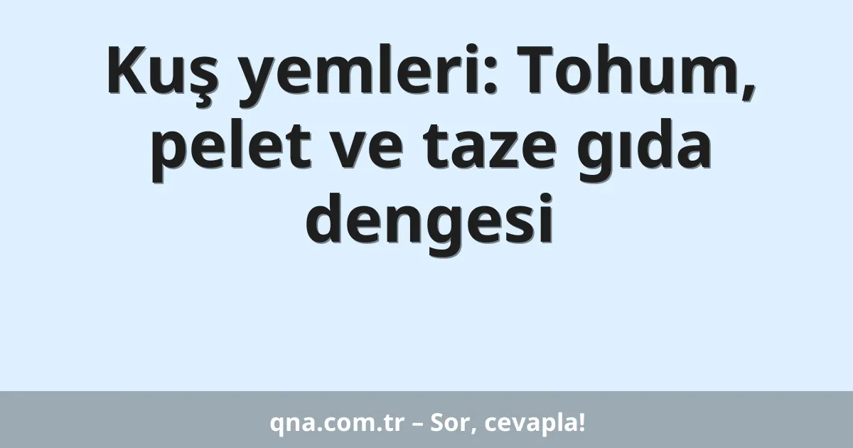 Kuş yemleri: Tohum, pelet ve taze gıda dengesi
