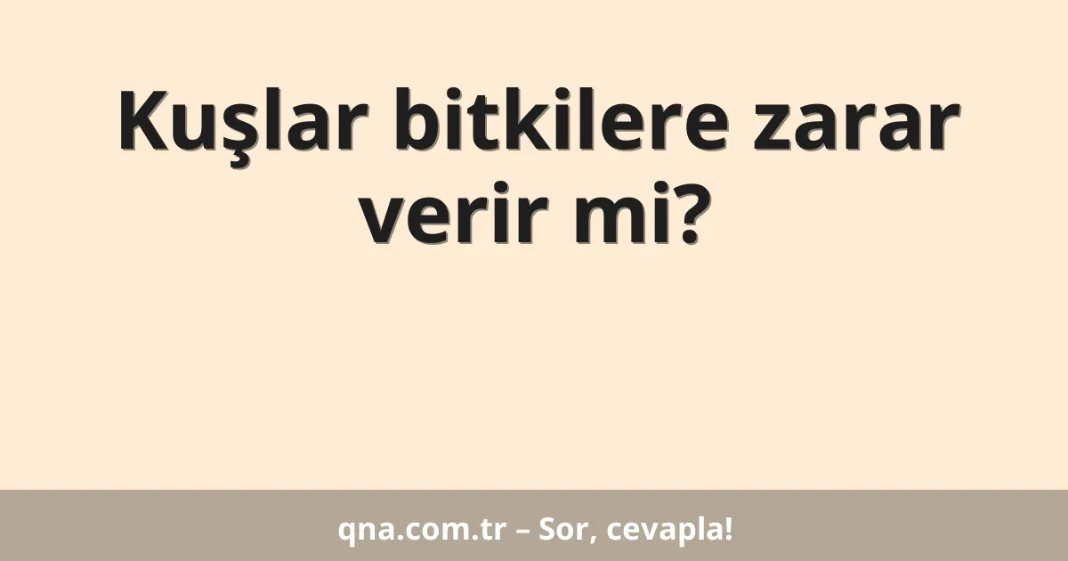 Kuşlar bitkilere zarar verir mi?