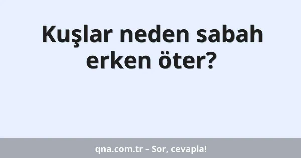Kuşlar neden sabah erken öter?