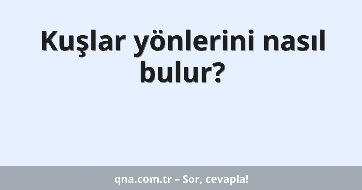Kuşlar yönlerini nasıl bulur?