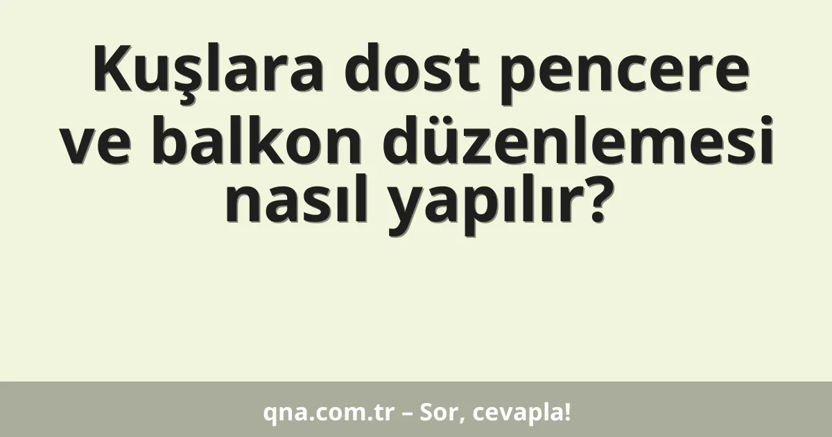 Kuşlara dost pencere ve balkon düzenlemesi nasıl yapılır?