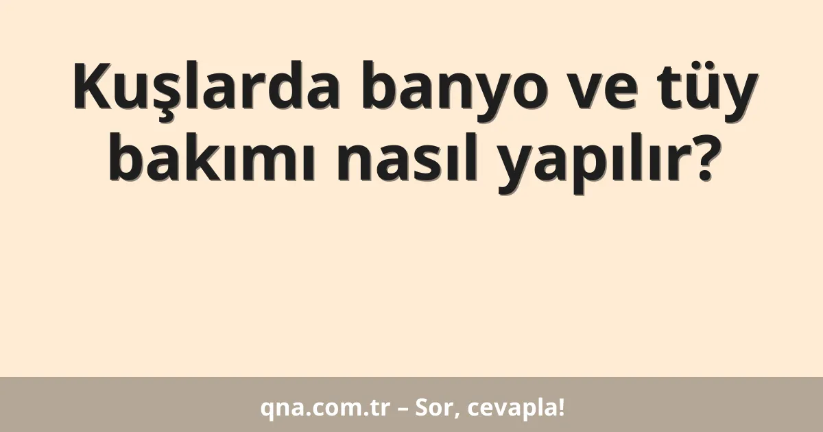 Kuşlarda banyo ve tüy bakımı nasıl yapılır?