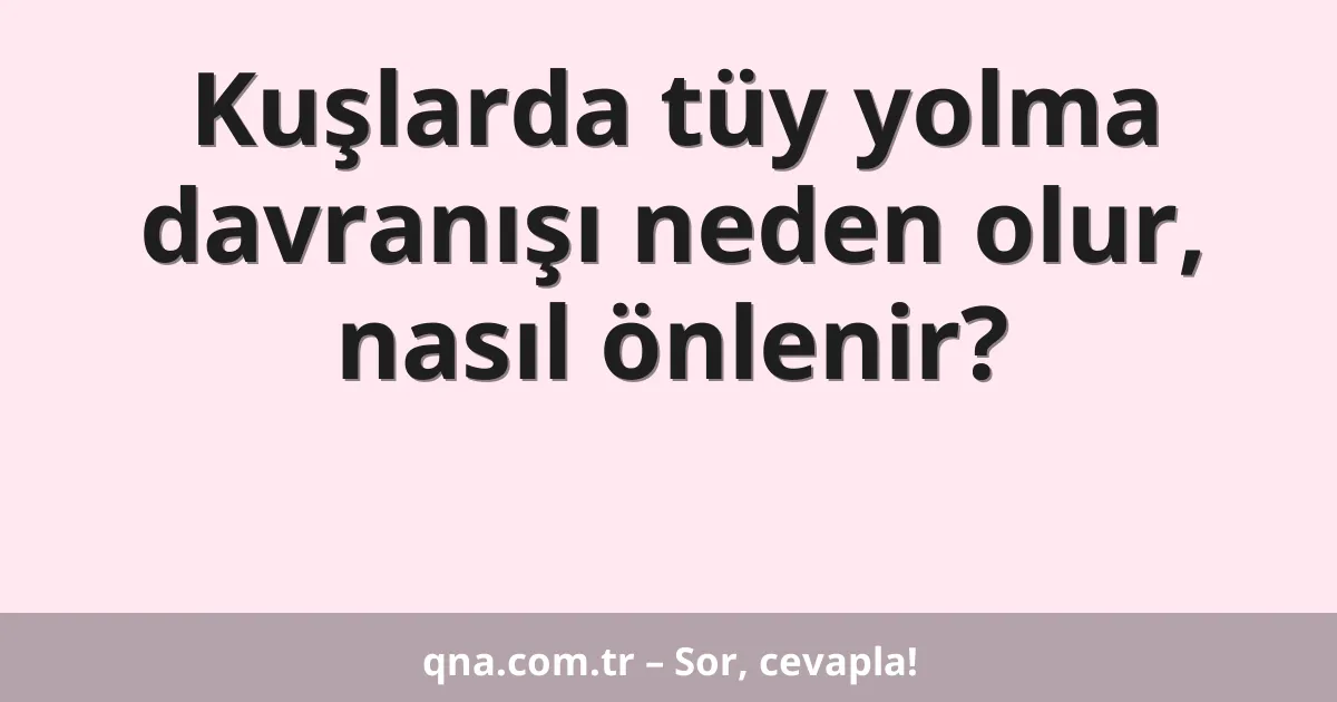 Kuşlarda tüy yolma davranışı neden olur, nasıl önlenir?