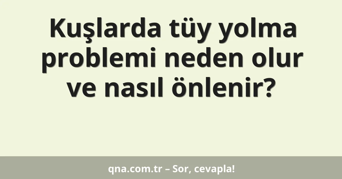 Kuşlarda tüy yolma problemi neden olur ve nasıl önlenir?