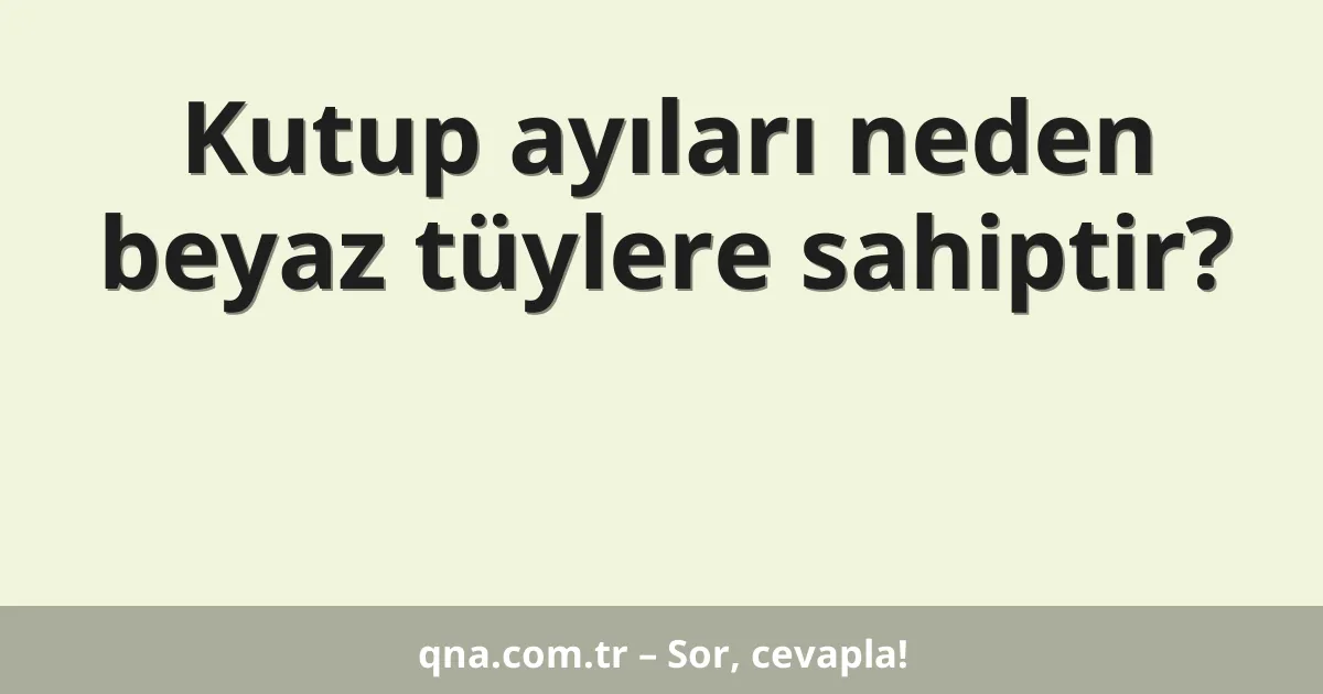 Kutup ayıları neden beyaz tüylere sahiptir?