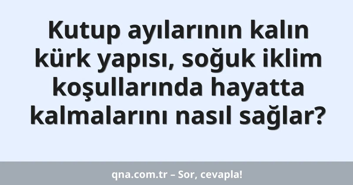 Kutup ayılarının kalın kürk yapısı, soğuk iklim koşullarında hayatta kalmalarını nasıl sağlar?
