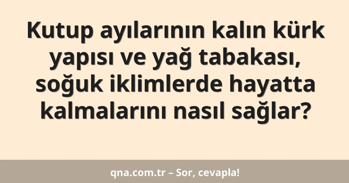 Kutup ayılarının kalın kürk yapısı ve yağ tabakası, soğuk iklimlerde hayatta kalmalarını nasıl sağlar?