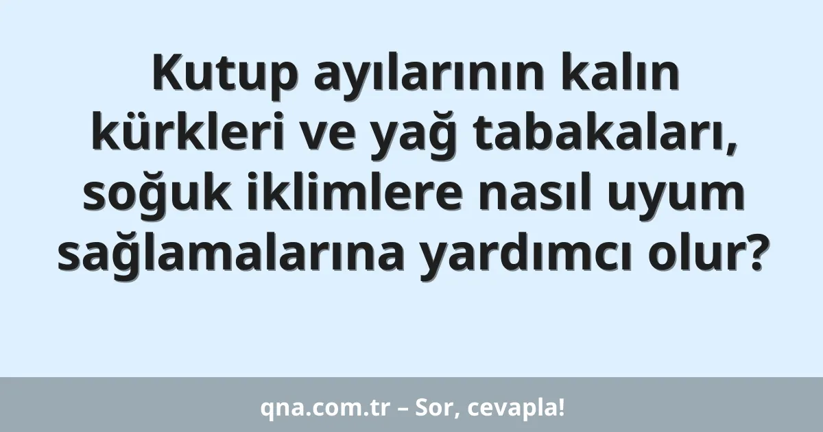 Kutup ayılarının kalın kürkleri ve yağ tabakaları, soğuk iklimlere nasıl uyum sağlamalarına yardımcı olur?