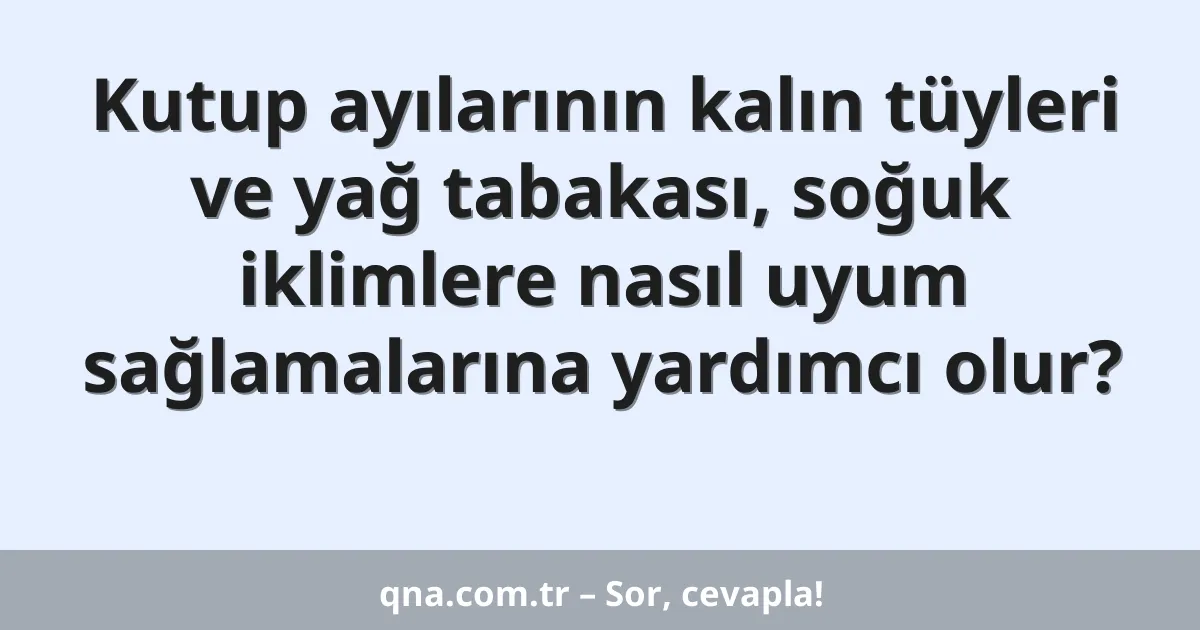 Kutup ayılarının kalın tüyleri ve yağ tabakası, soğuk iklimlere nasıl uyum sağlamalarına yardımcı olur?