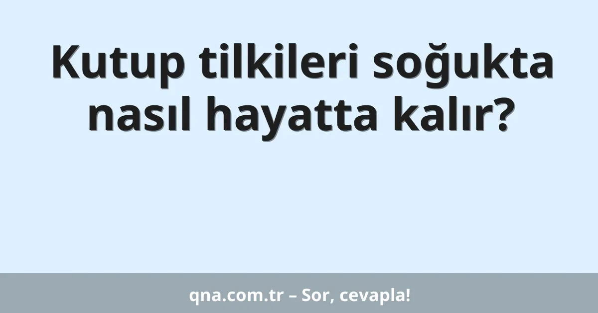 Kutup tilkileri soğukta nasıl hayatta kalır?