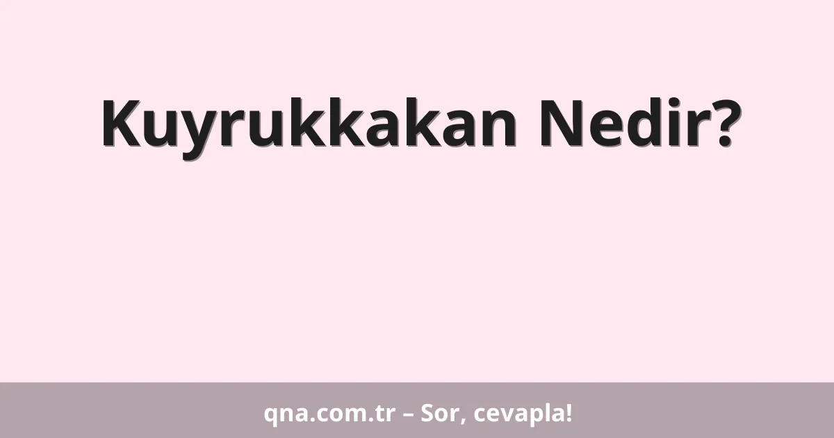 Kuyrukkakan Nedir?