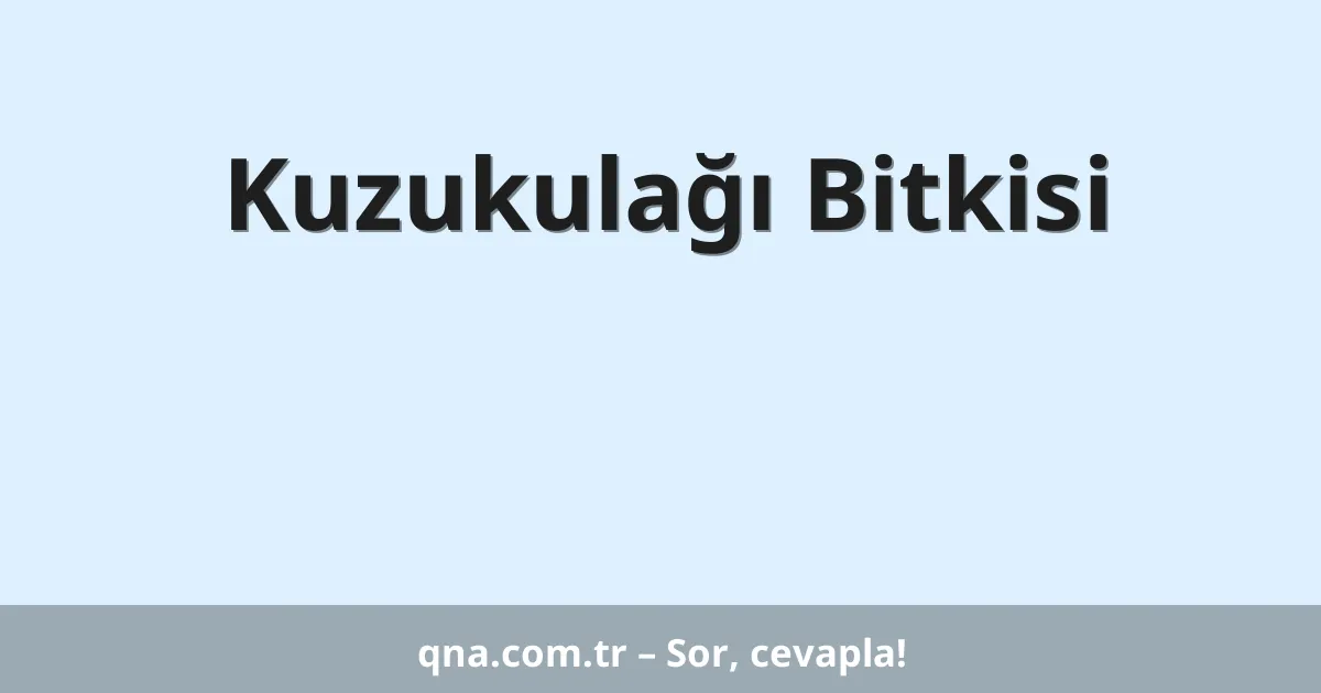 Kuzukulağı Bitkisi