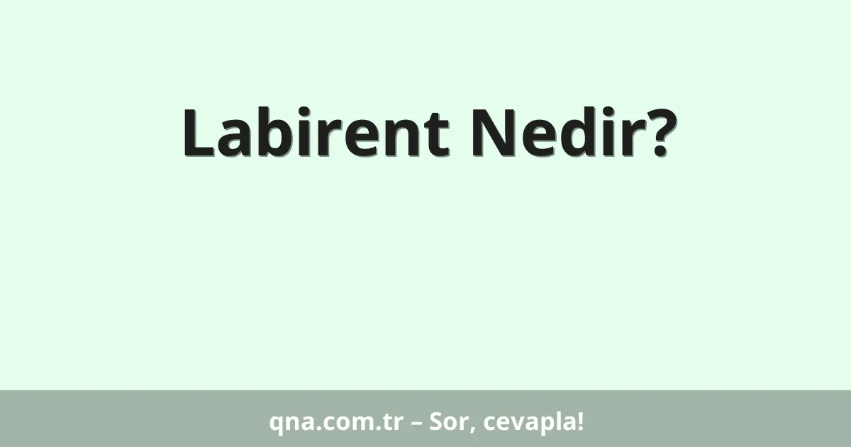 Labirent Nedir?