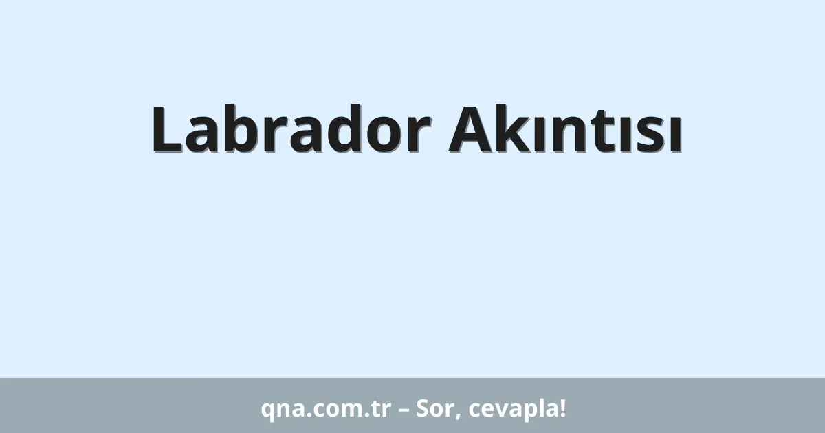 Labrador Akıntısı