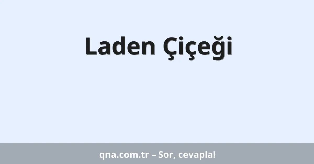 Laden Çiçeği