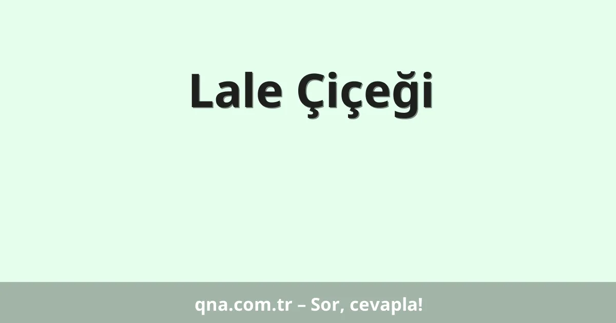 Lale Çiçeği