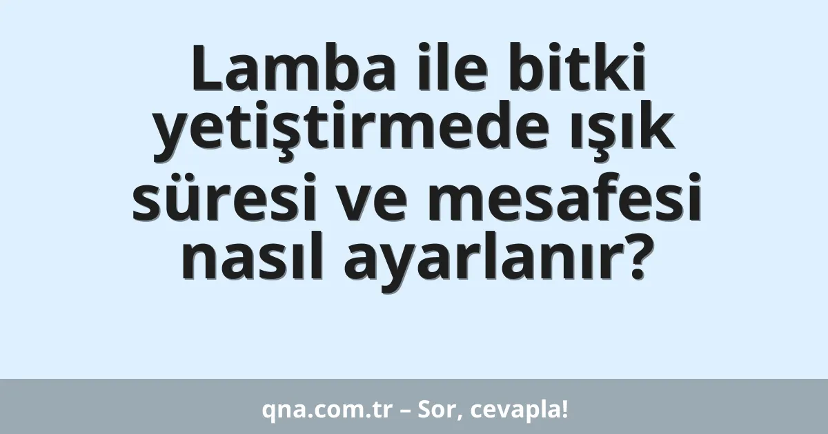 Lamba ile bitki yetiştirmede ışık süresi ve mesafesi nasıl ayarlanır?