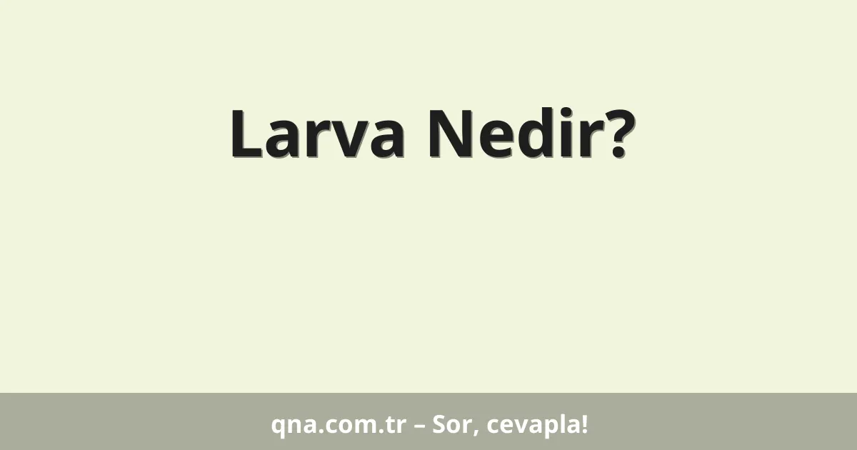 Larva Nedir?