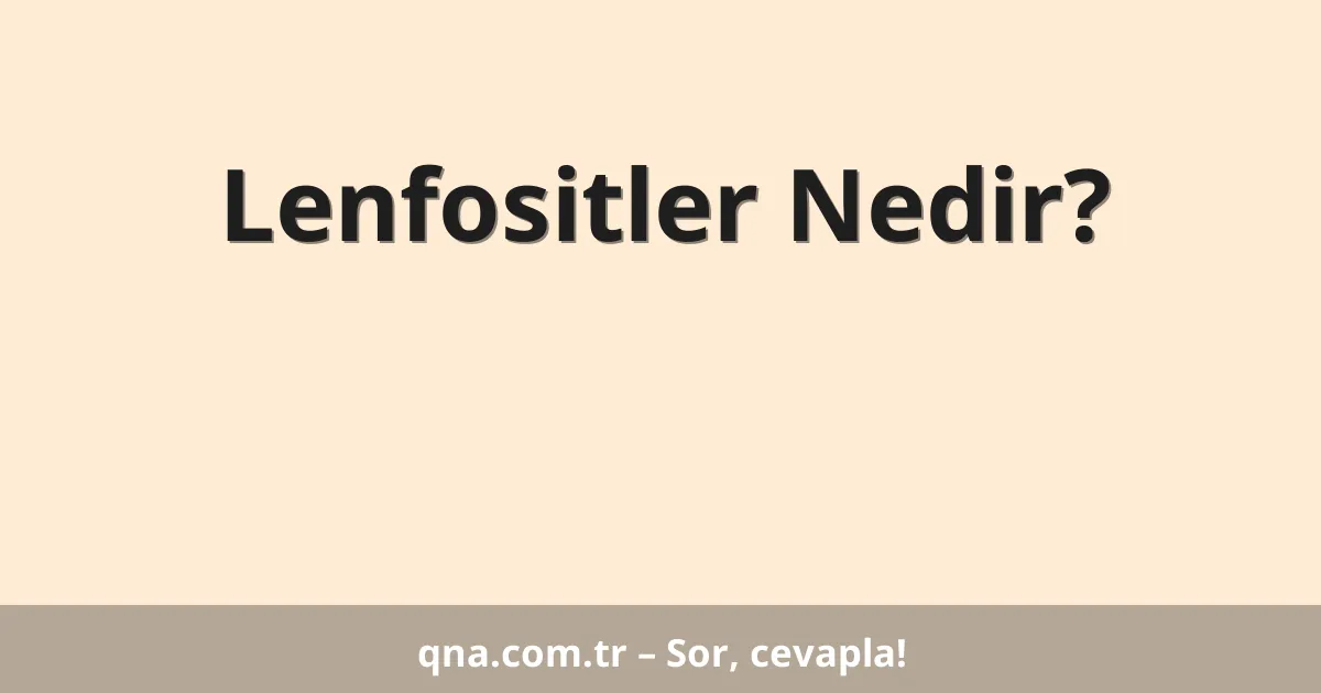 Lenfositler Nedir?