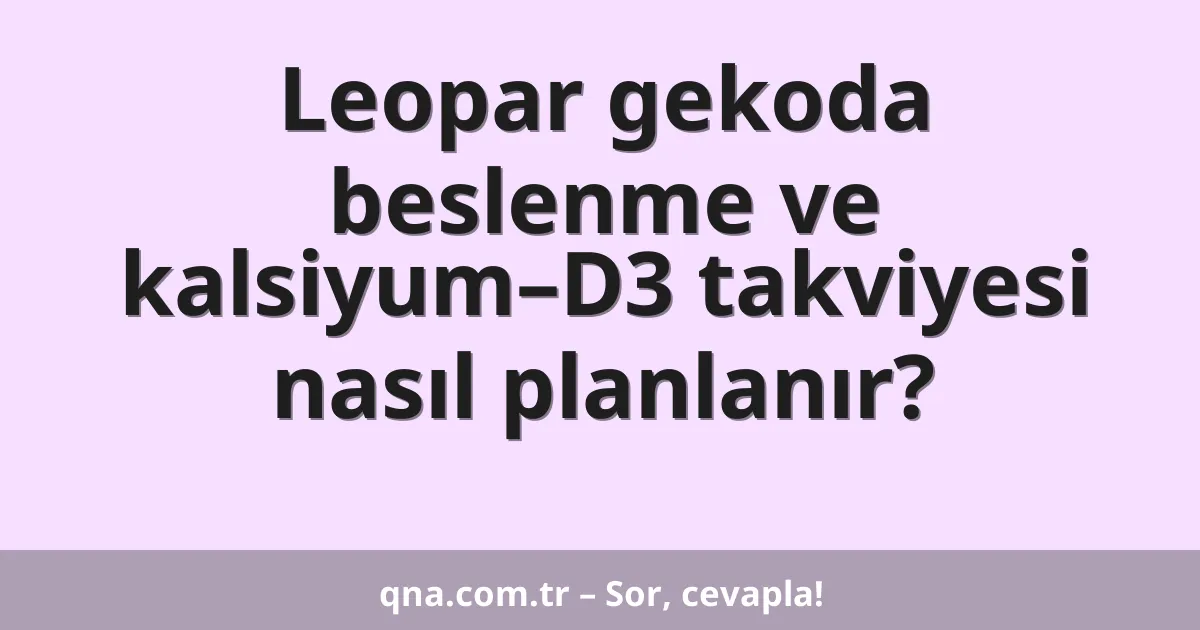 Leopar gekoda beslenme ve kalsiyum–D3 takviyesi nasıl planlanır?