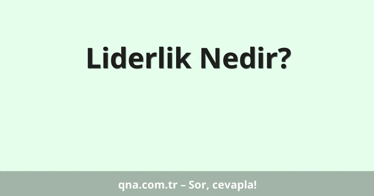 Liderlik Nedir?