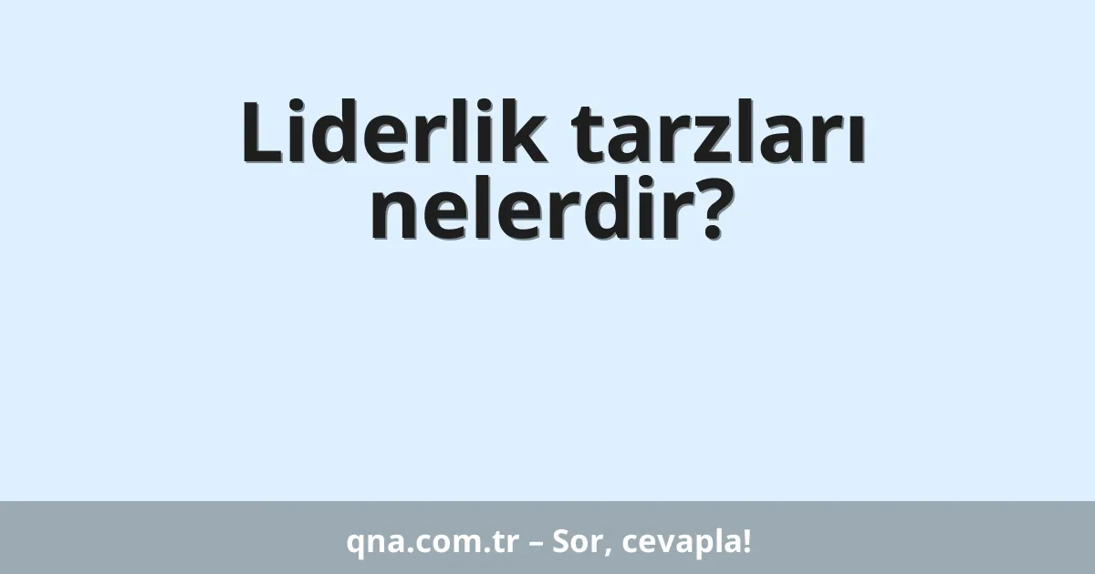 Liderlik tarzları nelerdir?