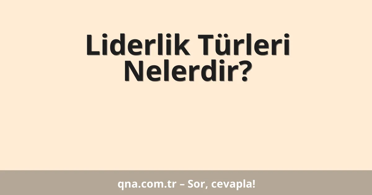 Liderlik Türleri Nelerdir?