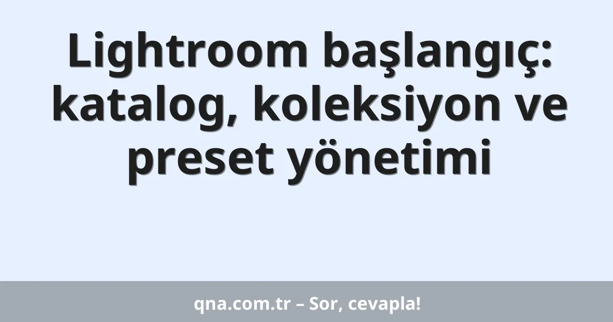 Lightroom başlangıç: katalog, koleksiyon ve preset yönetimi