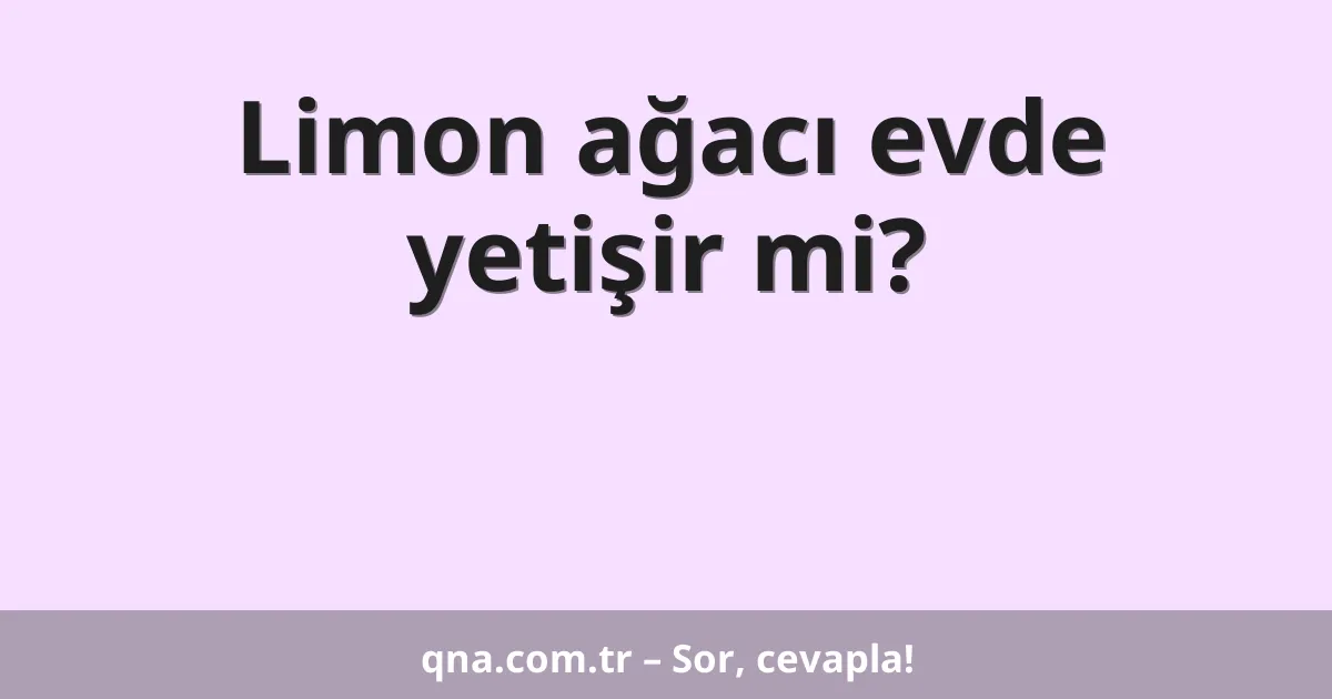 Limon ağacı evde yetişir mi?