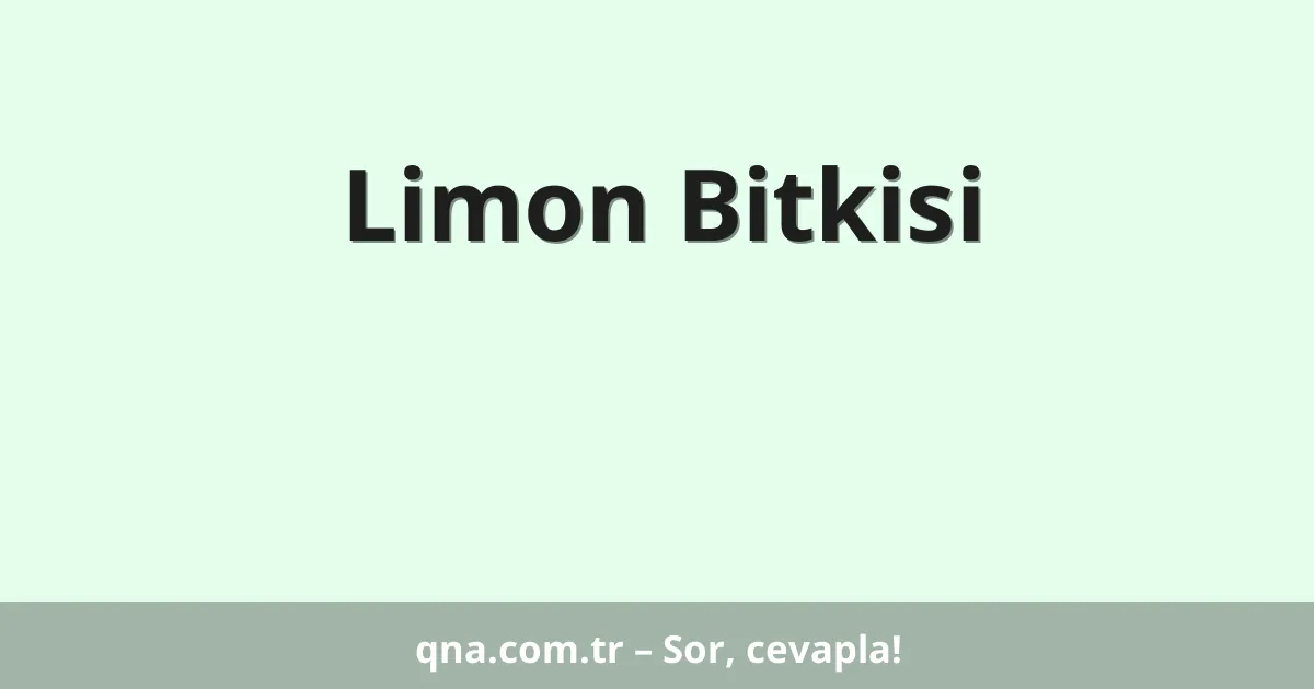 Limon Bitkisi