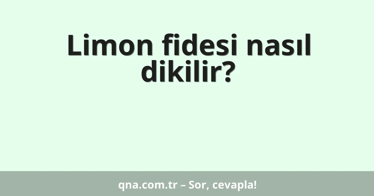 Limon fidesi nasıl dikilir?