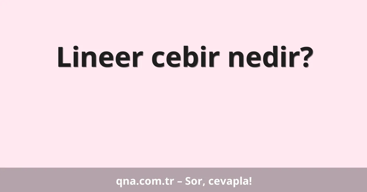 Lineer cebir nedir?