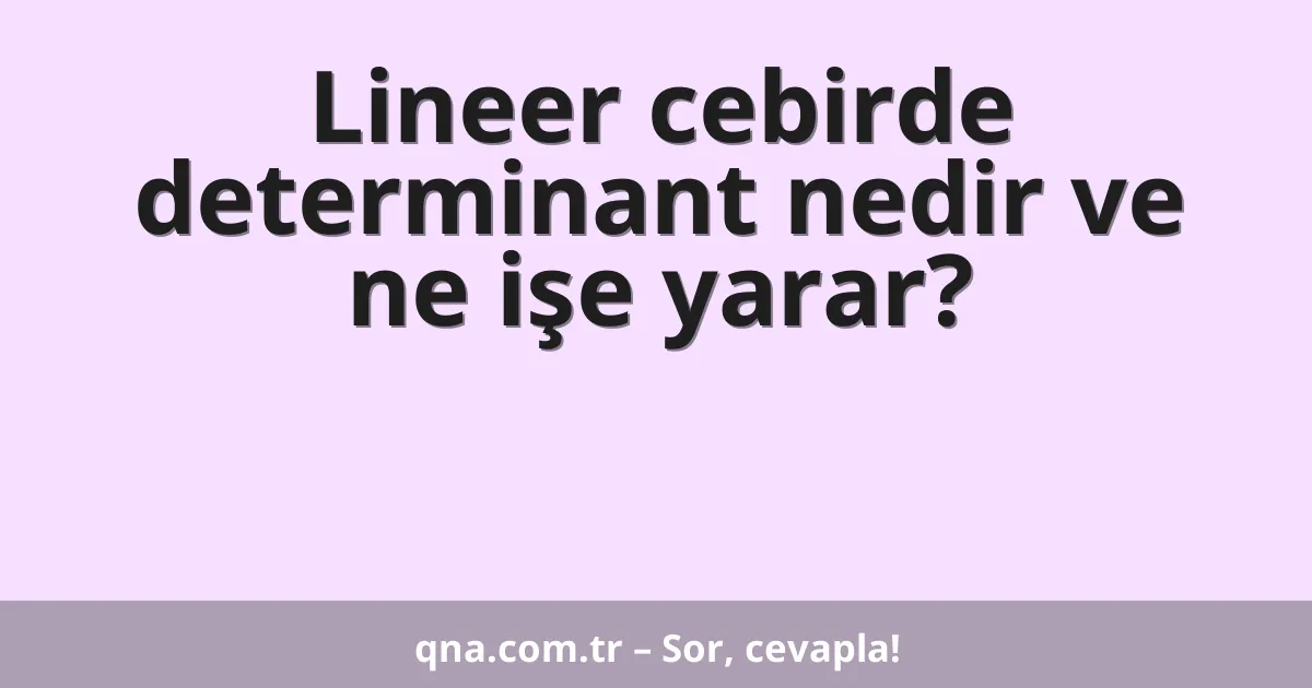 Lineer cebirde determinant nedir ve ne işe yarar?