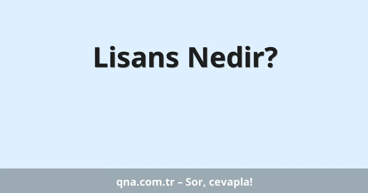 Lisans Nedir?