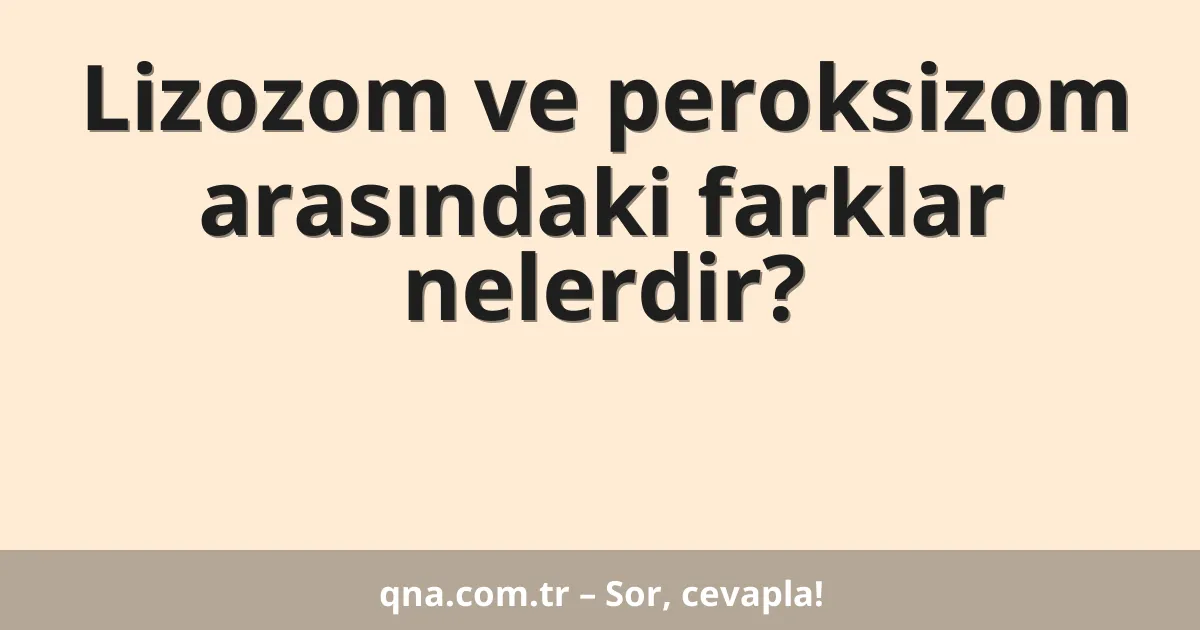Lizozom ve peroksizom arasındaki farklar nelerdir?