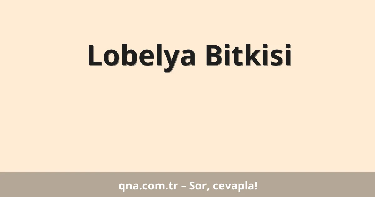 Lobelya Bitkisi