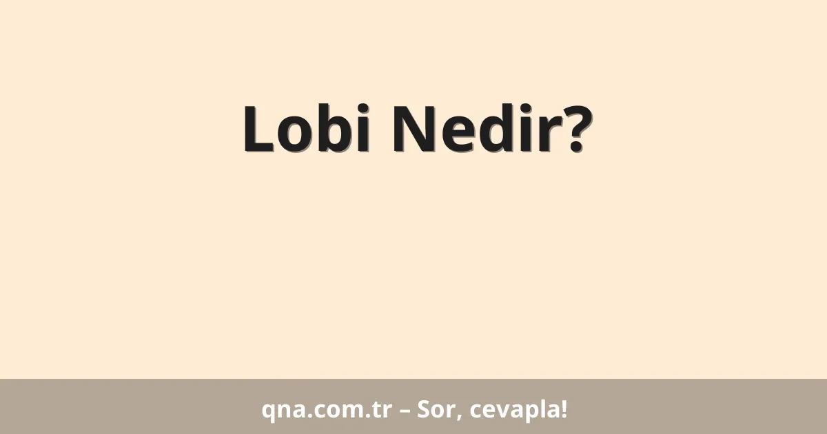 Lobi Nedir?