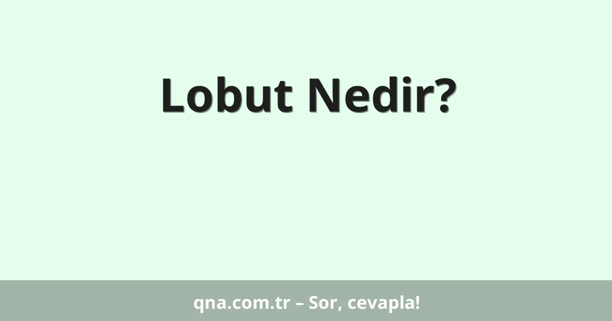 Lobut Nedir?