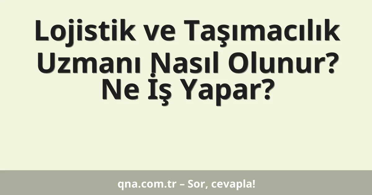 Lojistik ve Taşımacılık Uzmanı Nasıl Olunur? Ne İş Yapar?