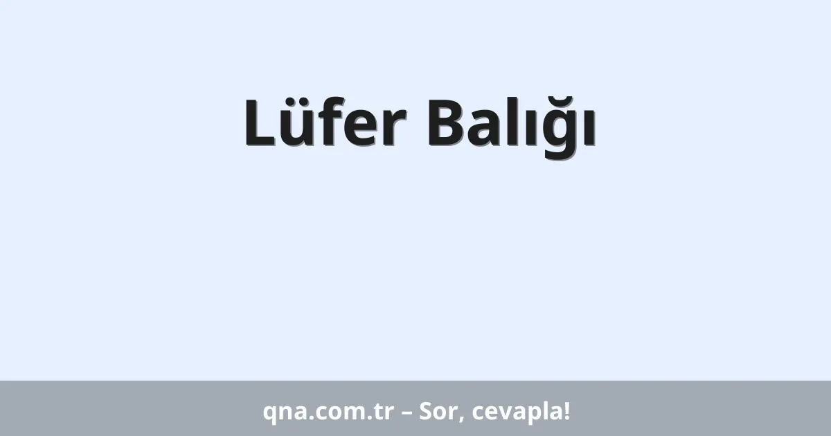 Lüfer Balığı