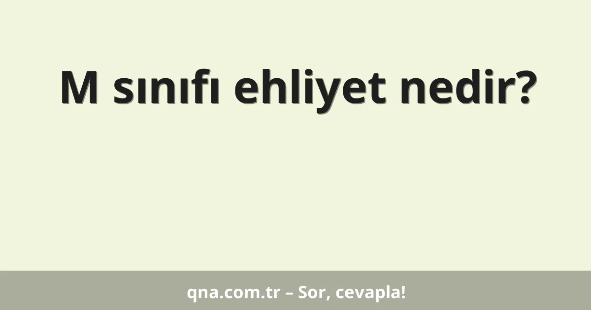 M sınıfı ehliyet nedir?