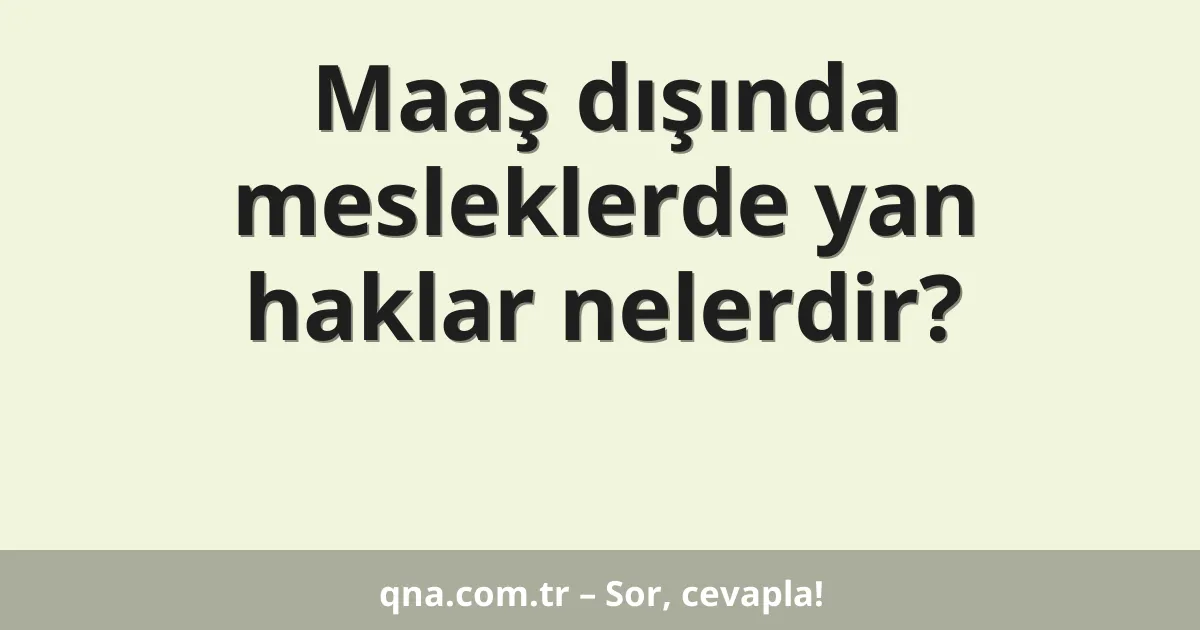 Maaş dışında mesleklerde yan haklar nelerdir?