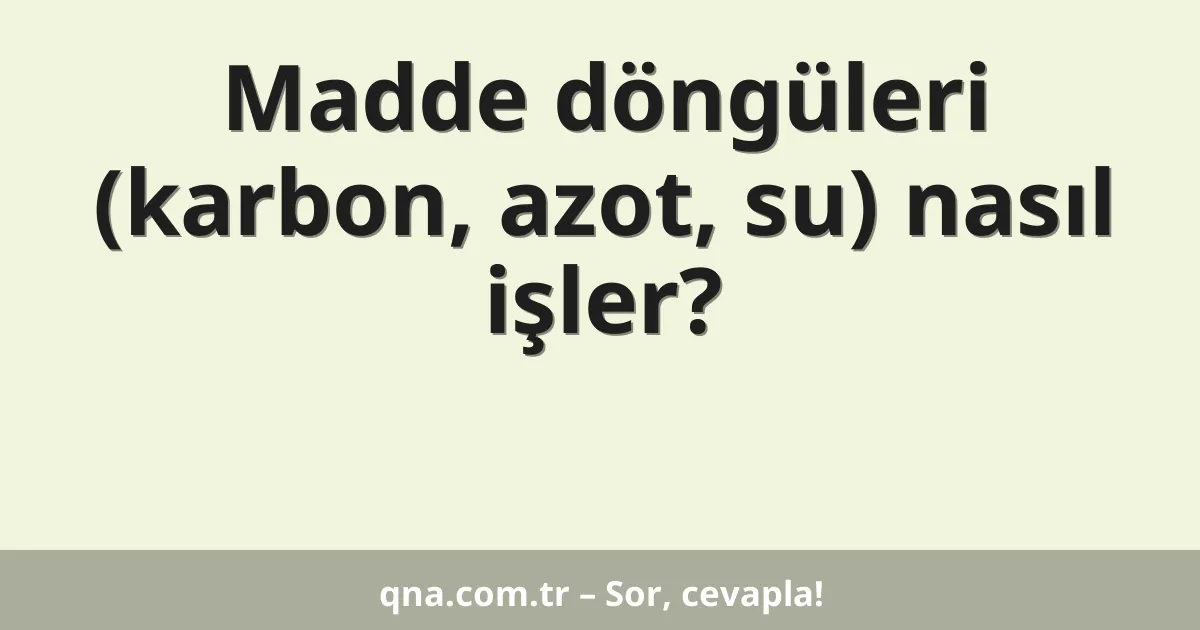 Madde döngüleri (karbon, azot, su) nasıl işler?