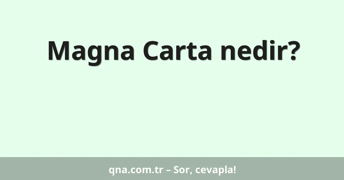 Magna Carta nedir?