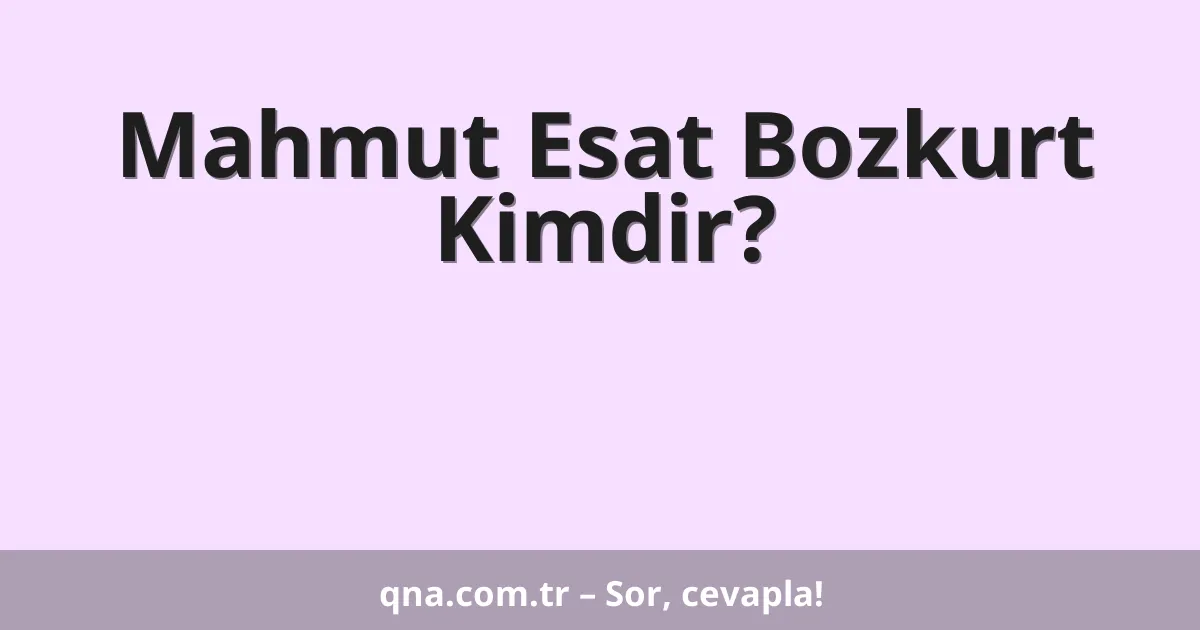 Mahmut Esat Bozkurt Kimdir?