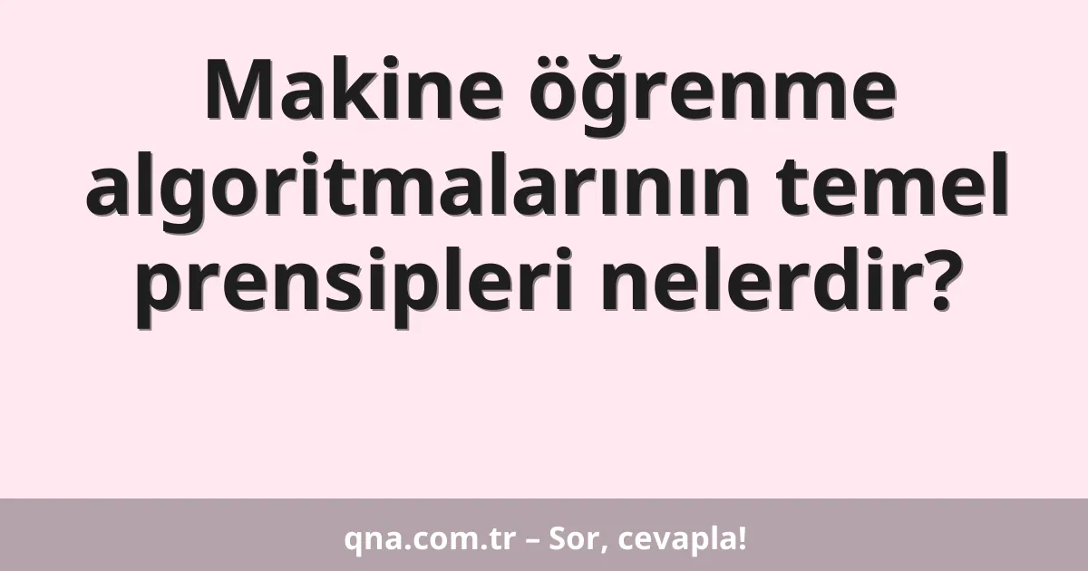 Makine öğrenme algoritmalarının temel prensipleri nelerdir?