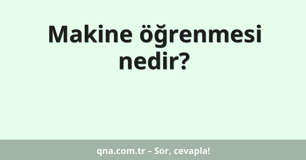 Makine öğrenmesi nedir?