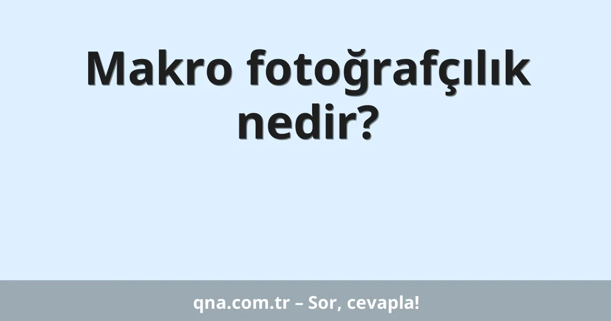 Makro fotoğrafçılık nedir?