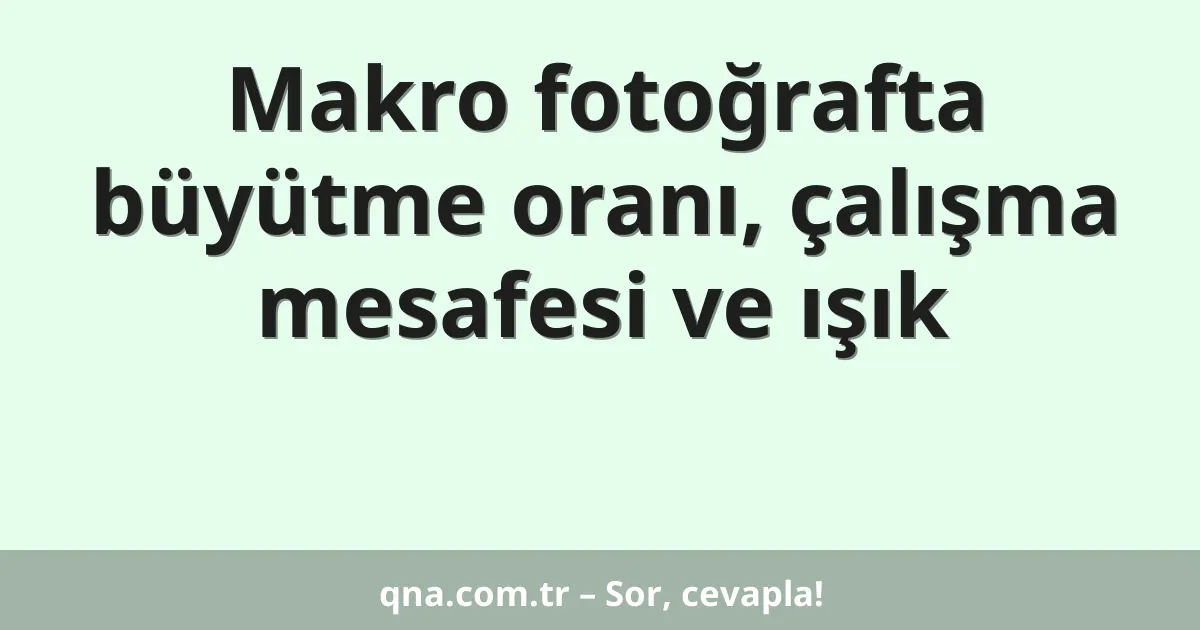 Makro fotoğrafta büyütme oranı, çalışma mesafesi ve ışık